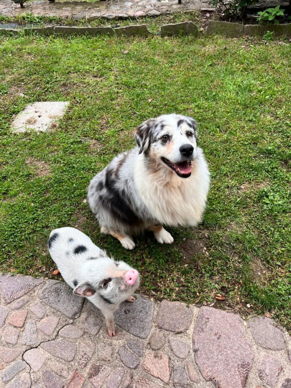 Anouk e Peggy